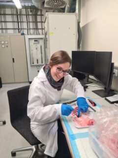 Nina Reiter during experiments with the spinal cord of pigs. (Image: O. Neumann)