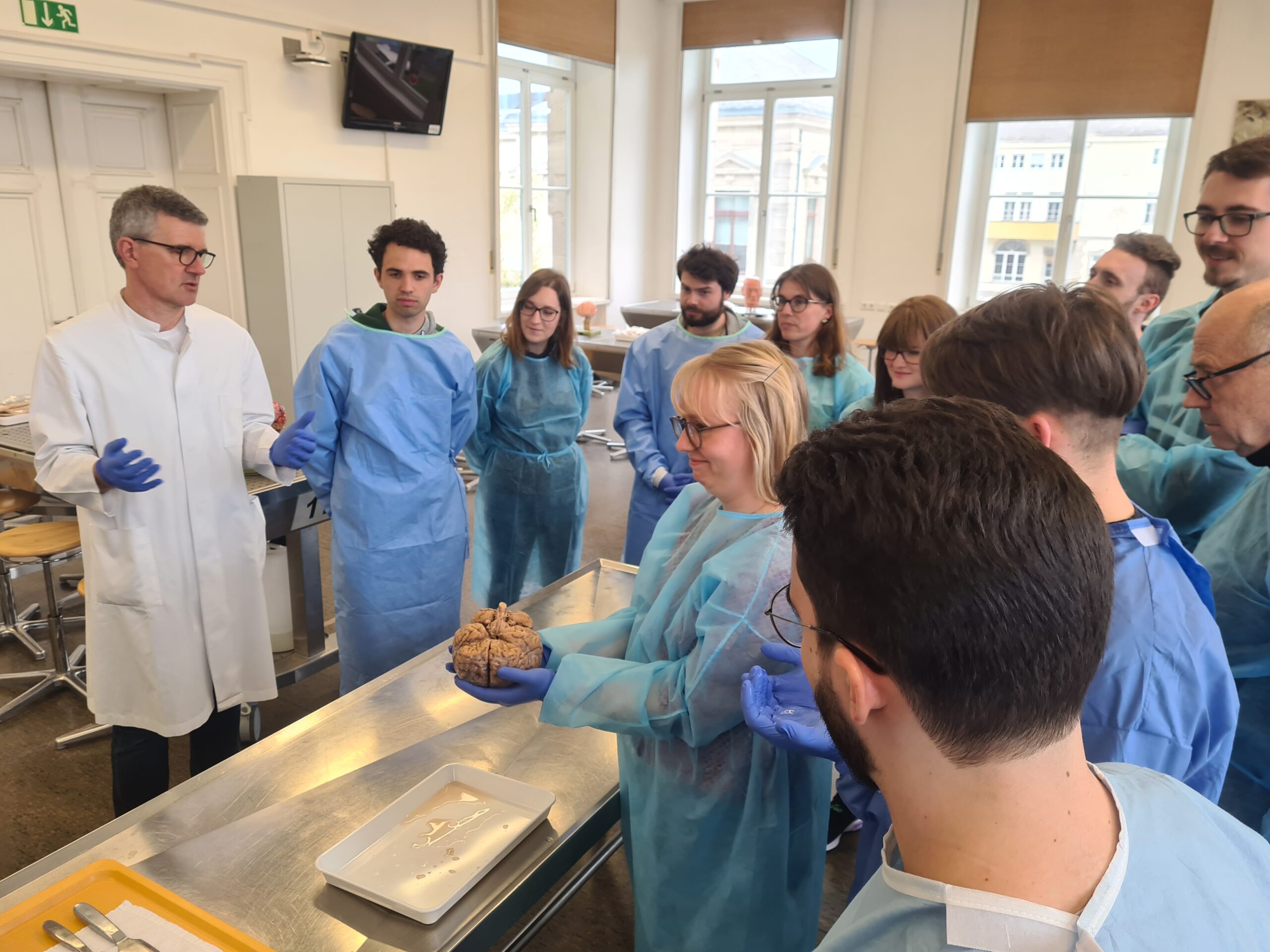 Impressions from the EBM harmonization workshop on neuroanatomy: A doctoral student holds a human brain in her hands CRC 1540 Exploring Brain Mechanics
