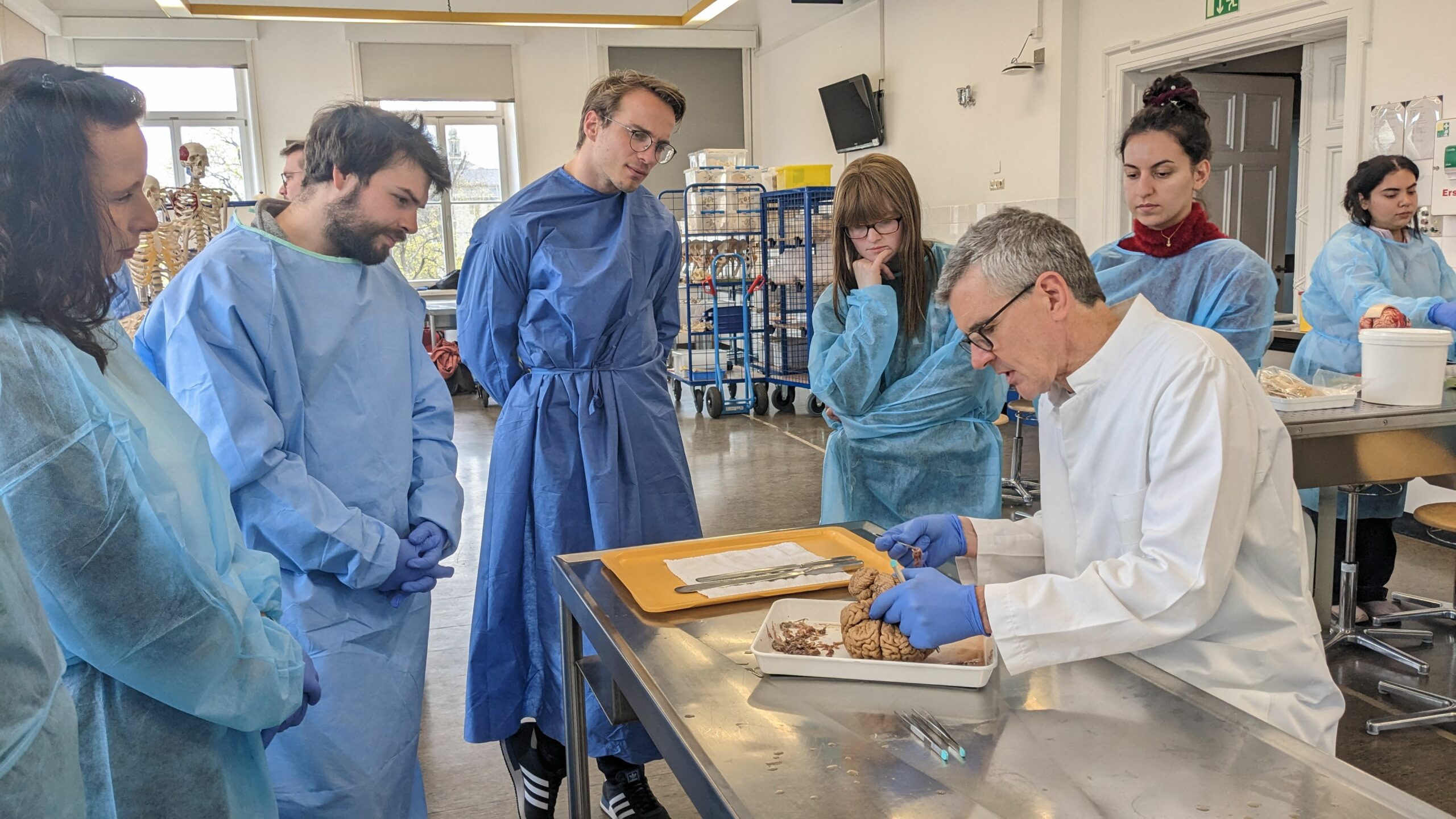 Impressions from the EBM harmonization workshop on neuroanatomy: Assisted Brain dissection CRC 1540 Exploring Brain Mechanics