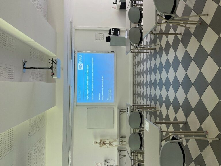 Doctoral Researchers‘ Seminar by Sophia Auer (A02)