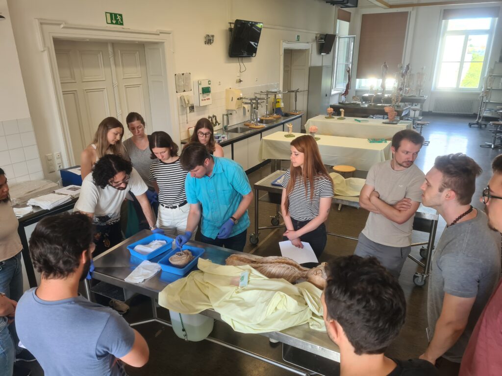 Impressions from the EBM harmonization workshop on neuroanatomy (Image: O. Neumann)