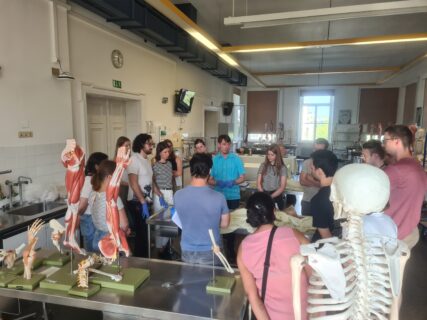 Impressions from the EBM harmonization workshop on neuroanatomy (Image: O. Neumann)