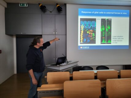 Impressions from the EBM harmonization workshop on Atomic Force Microscopy and Frog Brains (Image: A. Dakkouri-Baldauf)