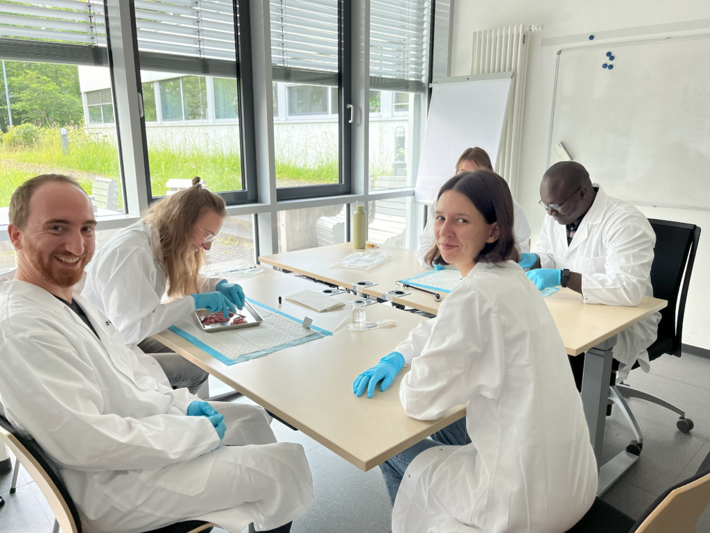 Impressions from the EBM Harmonization Workshop on Mechanical Testing (Image: S. Budday)