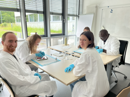Zum Artikel "EBM’s 6th Harmonization Workshop: Mechanical Testing"