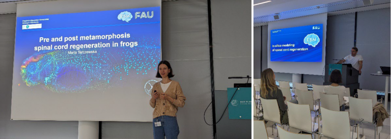 Doctoral Researchers‘ Seminar by Oskar Neumann (B01) and Maria Tarczewska (B02)