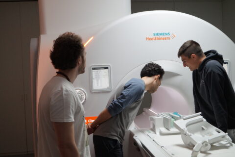 Impressions from the EBM Harmonization Workshop on Magnetic Resonance Elastography (MRE) (Image: F. Laun)