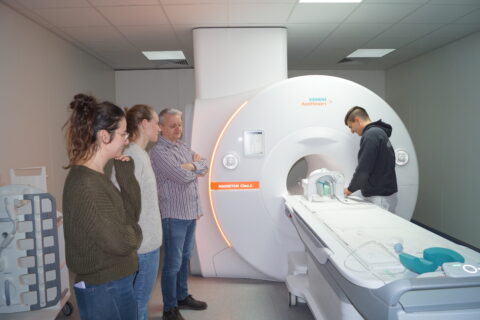 Impressions from the EBM Harmonization Workshop on Magnetic Resonance Elastography (MRE) (Image: F. Laun)