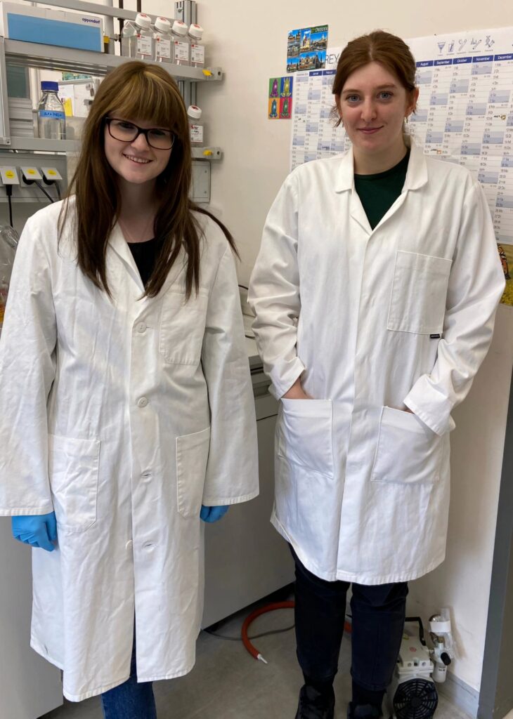 Collaborative lab work between A03 and C04. (Image: A. Schambony)