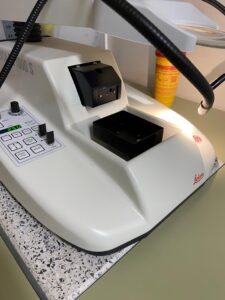 Collaborative lab work between A03 and C04 using a vibratome. (Image: A. Schambony)