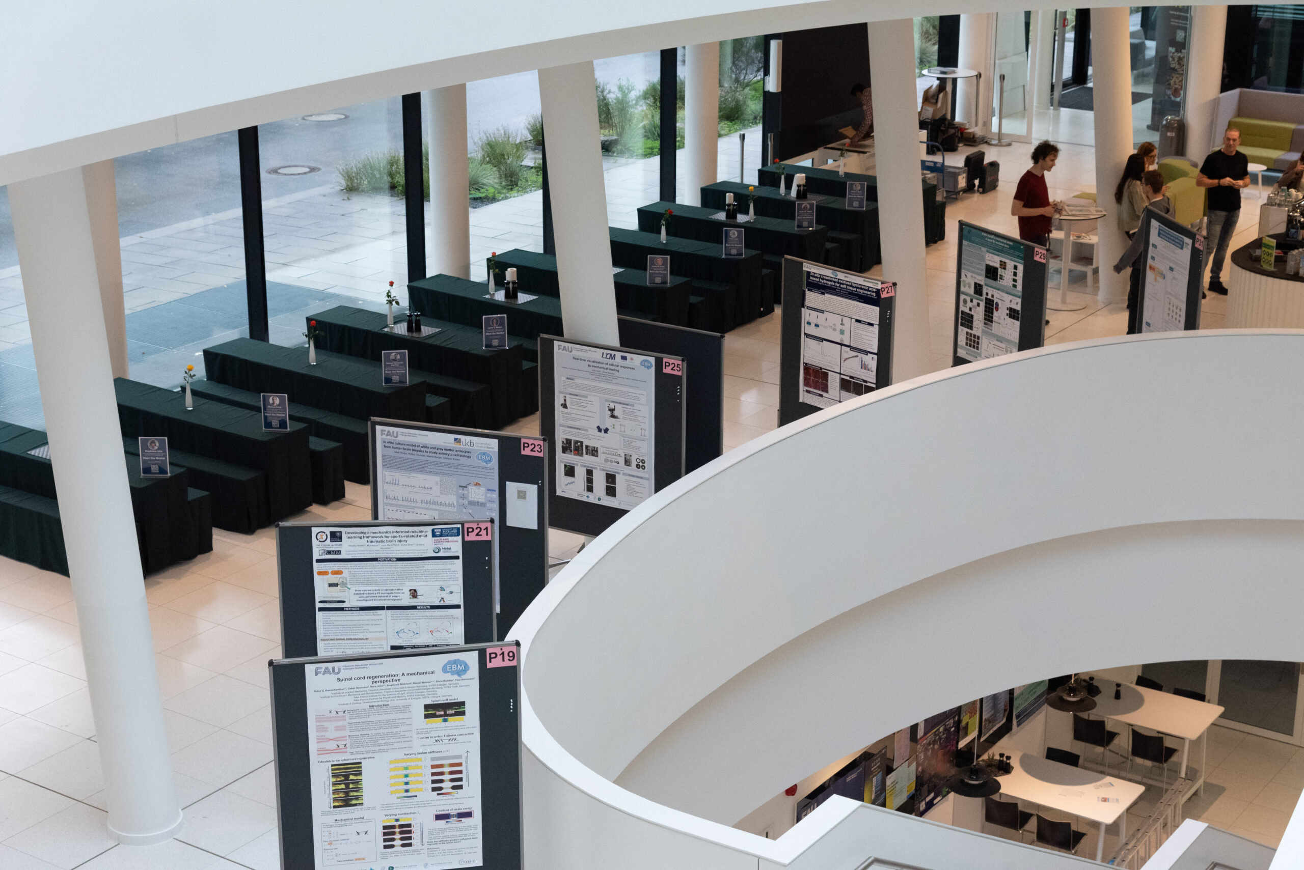 Poster exhibition ready for the EBM Symposium 2025 (Image: S. Viezens)