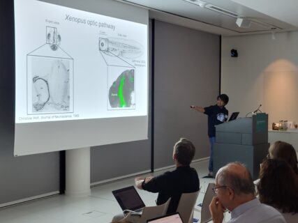 Speaker at the EBM Symposium 2025. (Image: A. Dakkouri-Baldauf)