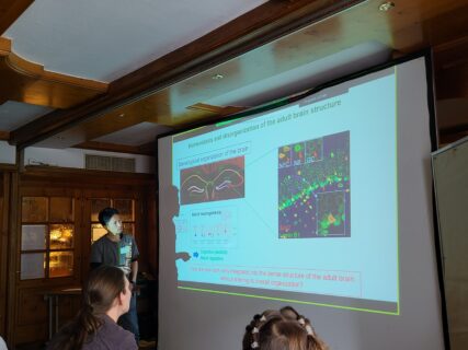 PIs present their planned new projects. (Image: A. Dakkouri-Baldauf)