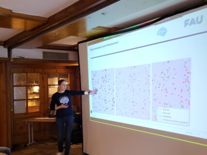 PIs present their planned new projects. (Image: A. Dakkouri-Baldauf)