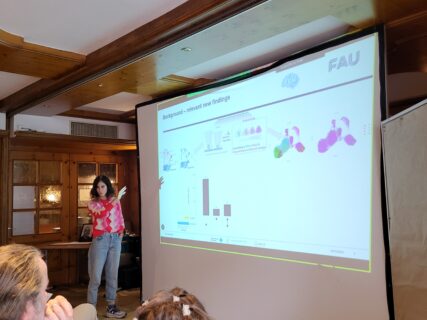 PIs present their planned new projects. (Image: A. Dakkouri-Baldauf)