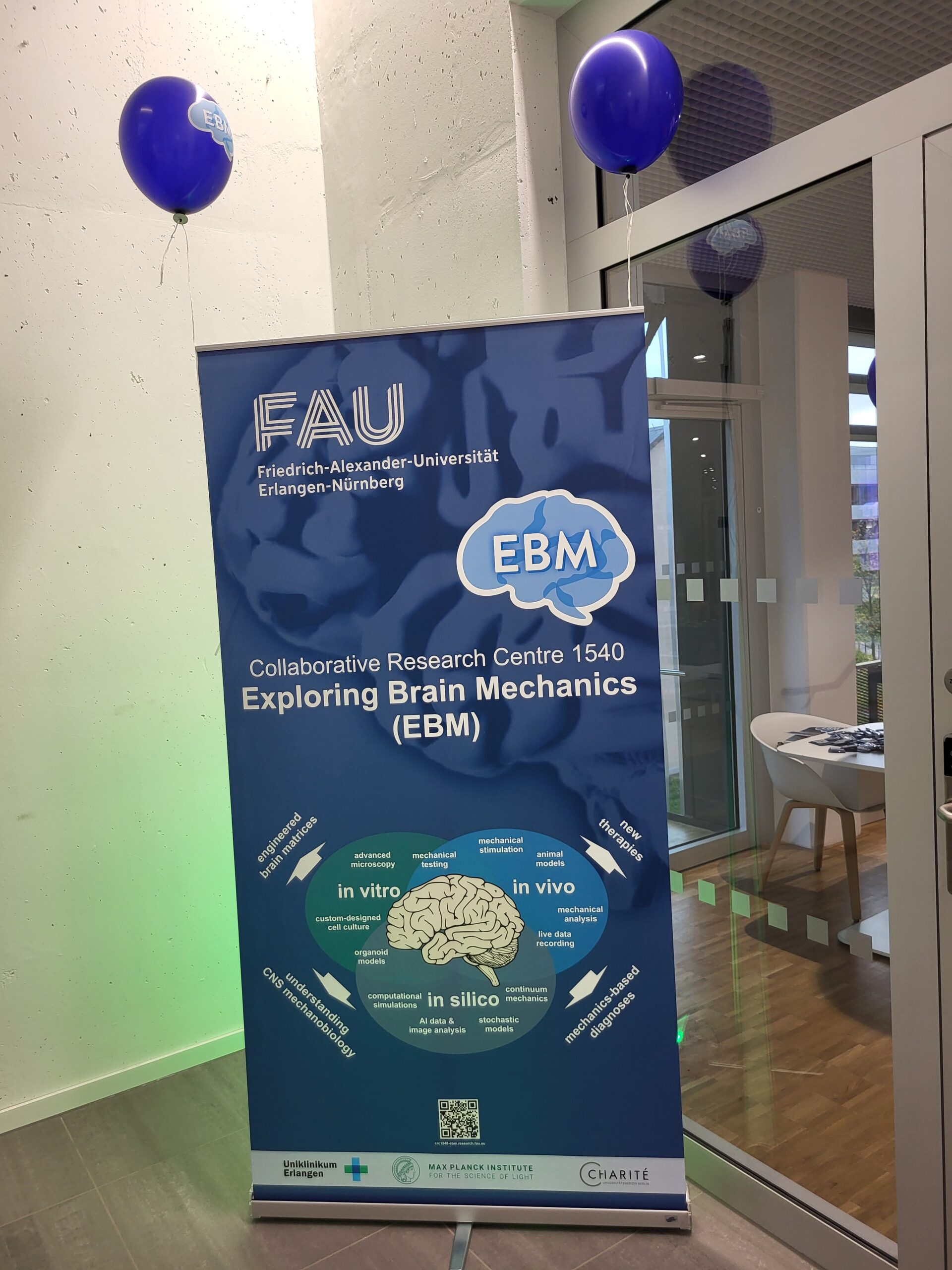 EBM at the Long Night of Sciences. (Image: A. Dakkouri-Baldauf)