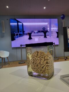 Impressions from the Long Night of Sciences. (Image: A. Dakkouri-Baldauf)