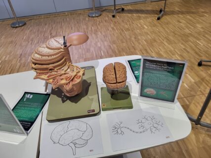 Impressions from the Long Night of Sciences. (Image: A. Dakkouri-Baldauf)