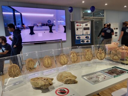 Impressions from the Long Night of Sciences. (Image: A. Dakkouri-Baldauf)