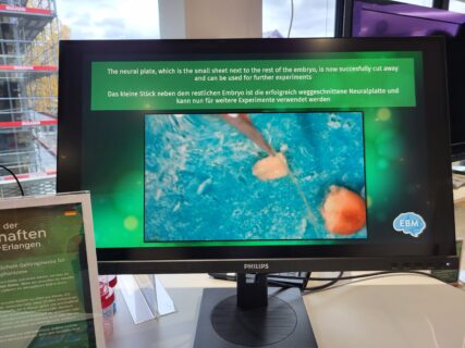 Impressions from the Long Night of Sciences. (Image: A. Dakkouri-Baldauf)