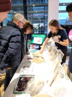 Impressions from the Long Night of Sciences. (Image: A. Dakkouri-Baldauf)