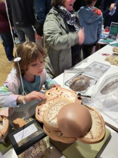 Impressions from the Long Night of Sciences. (Image: A. Dakkouri-Baldauf)