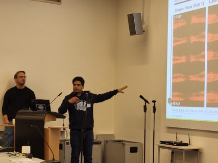 Project presentations by the (post)doctoral researchers. (Image: A. Dakkouri-Baldauf)