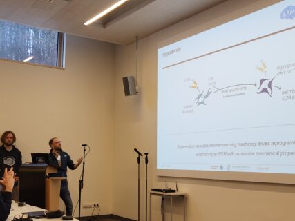 Project updates presented by PI. (Image: A. Dakkouri-Baldauf)