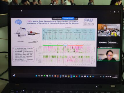Prof. Jing Guo from Berlin hops on Zoom to share her project. (Image: A. Dakkouri-Baldauf)