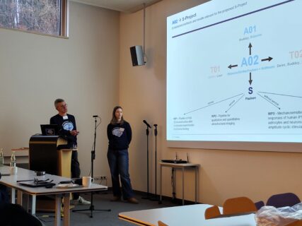 Outlining their plans for the upcoming project: PI and doctoral researcher. (Image: A. Dakkouri-Baldauf)