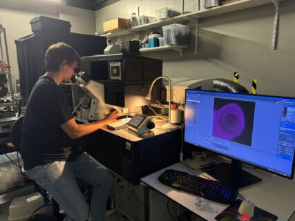 Niklas Gampl at Caren Norden’s lab in Oeiras, Portugal. (Image: C. De Figueiredo / M. Cruz)