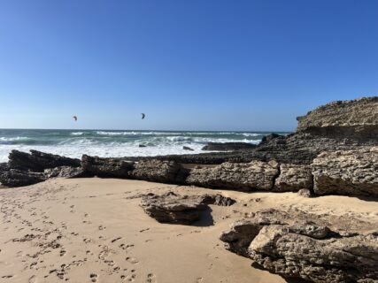 Away from the lab: enjoying the beautiful landscape around Oeiras. (Image: N. Gampl)