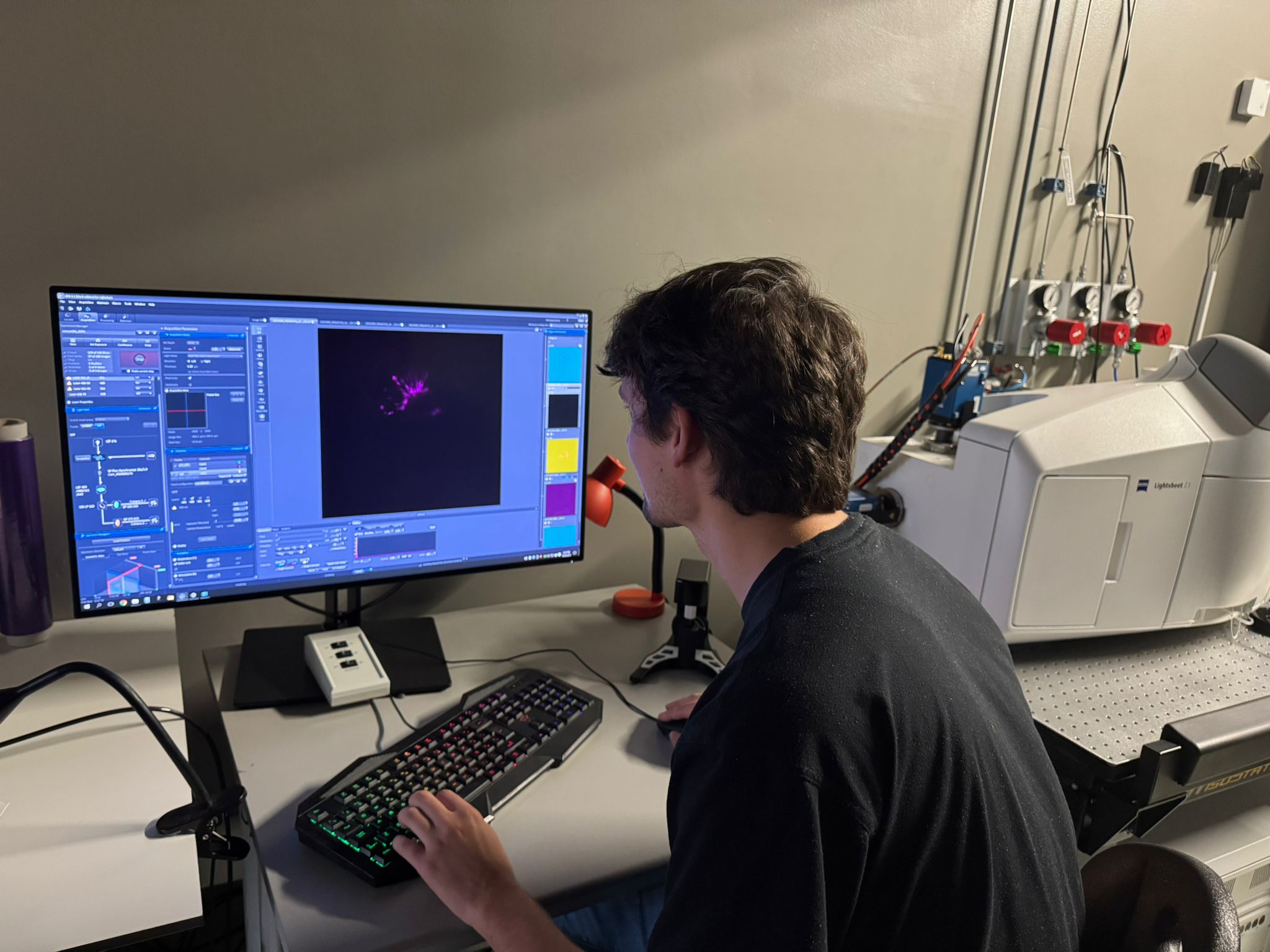 Niklas Gampl at Caren Norden’s lab in Oeiras, Portugal. (Image: C. De Figueiredo / M. Cruz)