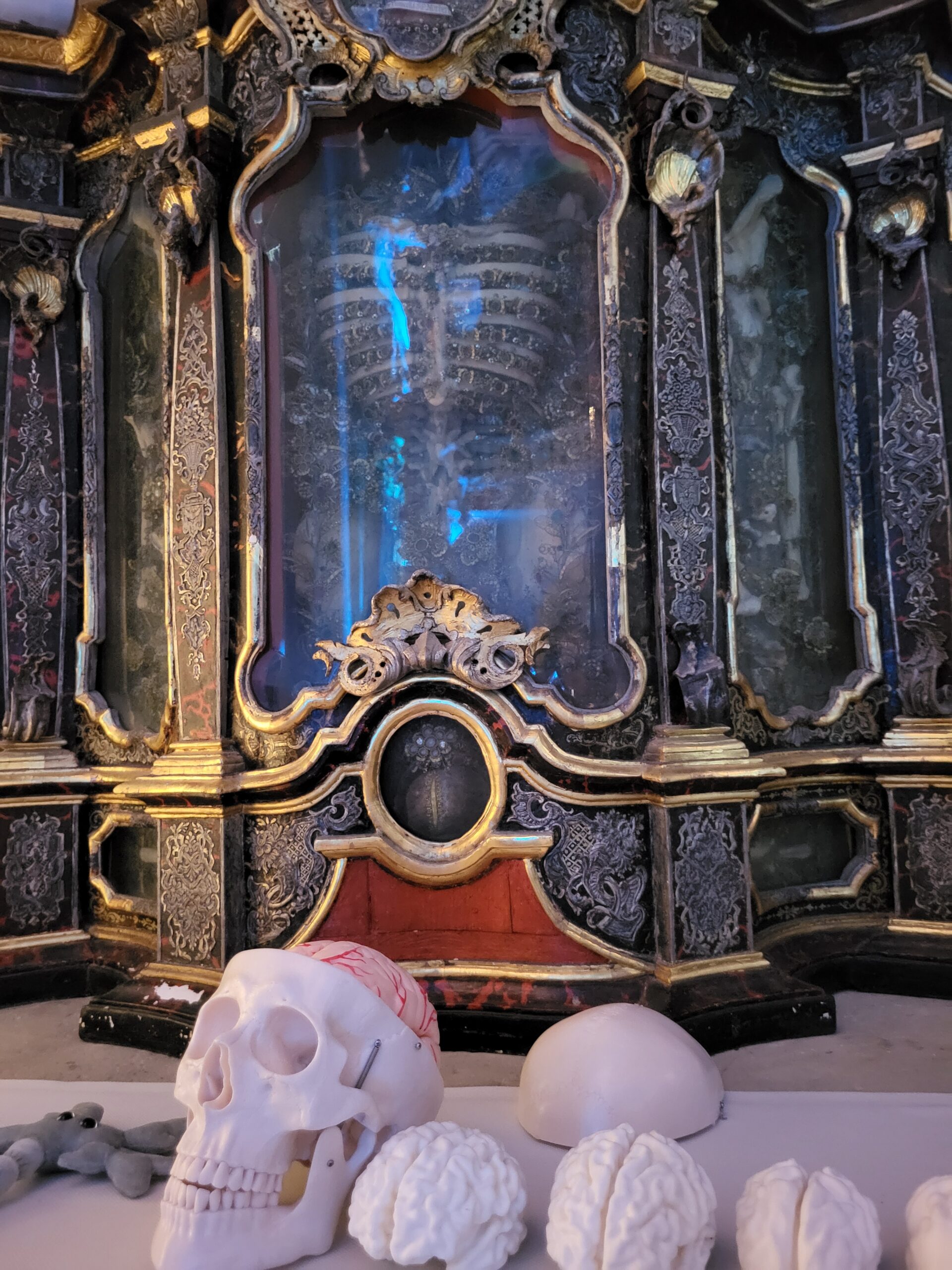 Scientific models and anatomical exhibits in the church space. Photo: A. Dakkouri-Baldauf