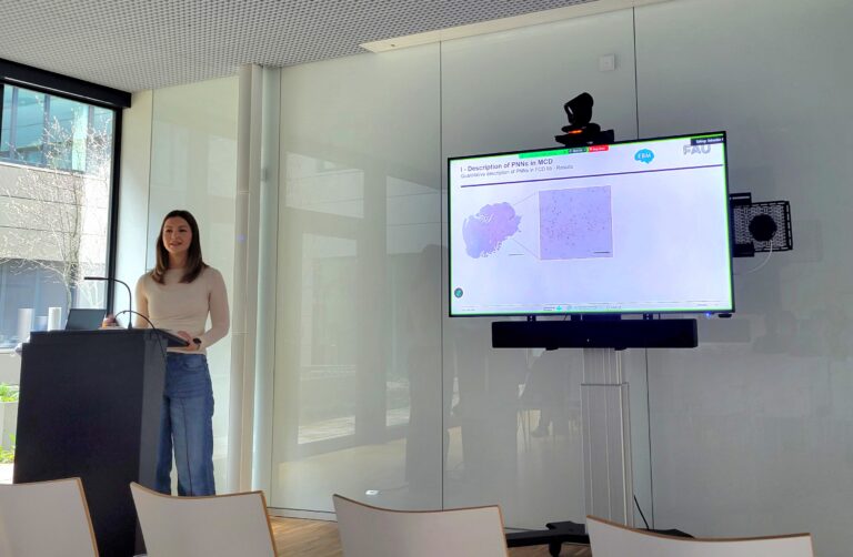 Doctoral Researchers’ Seminar by Sophia Auer (A02) and Sebastián Vásquez Sepúlveda (A05)