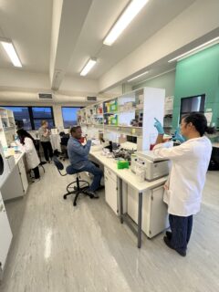 Dr. Majah’onkhe Shabangu and Kiara Ramnundlall preparing brain organoids for agarose-based embedding. Photo: O. Neumann