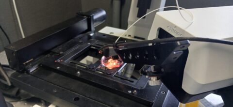 Nanoindentation setup. Photo: M. Shabangu
