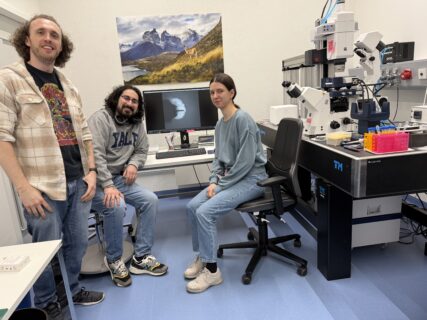 Zum Artikel "Lab Shadowing: How mechanics shape developing human brain organoids"