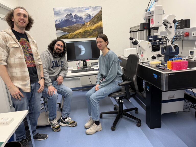 Lab Shadowing: How mechanics shape developing human brain organoids