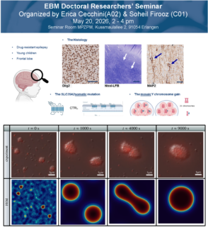 Zum Artikel "Doctoral Researchers‘ Seminar by Erica Cecchini (A02) and Soheil Firooz (C01)"