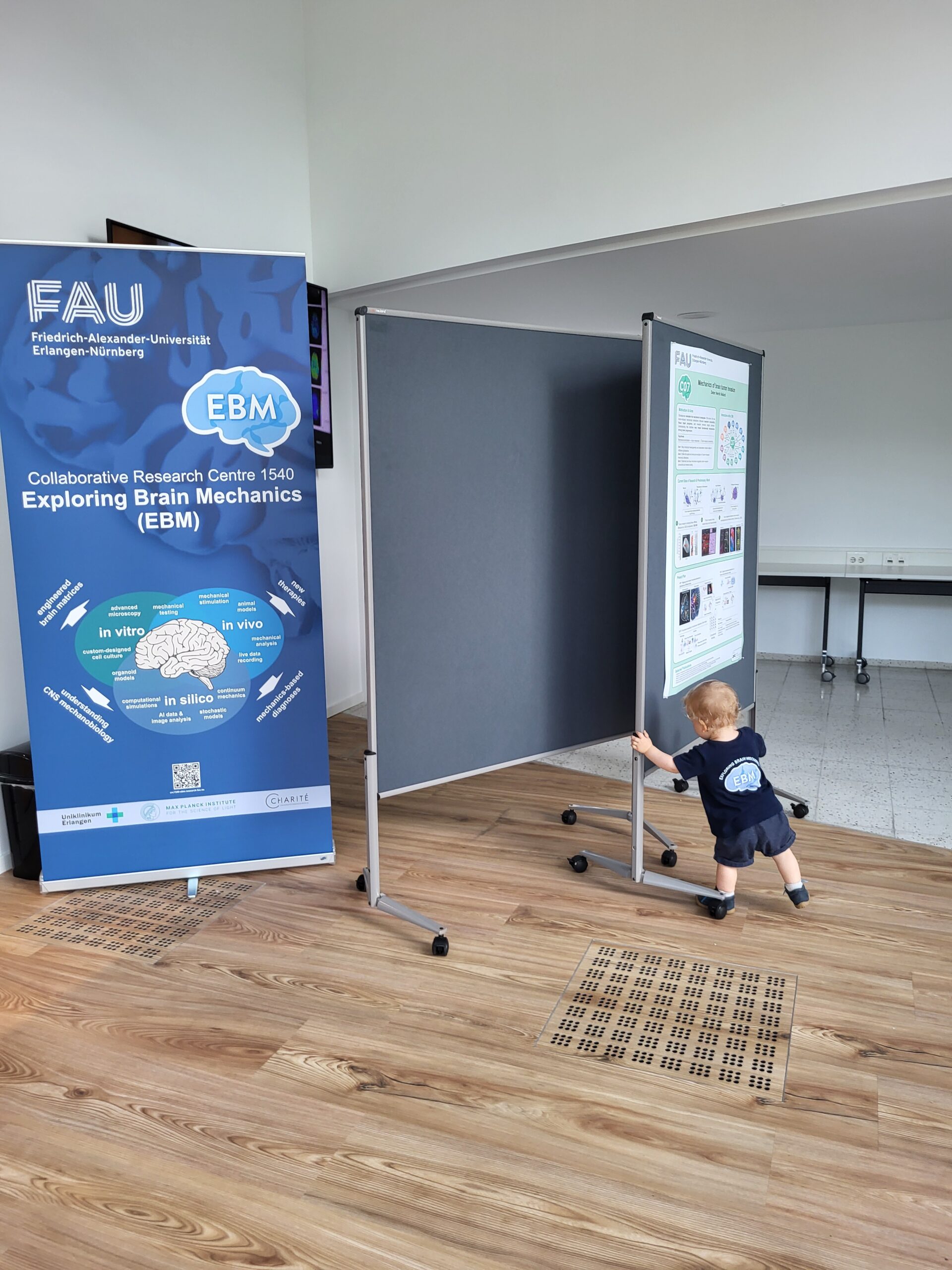 The smallest EBM member, hard at work rearranging the poster walls. Photo: A. Dakkouri-Baldauf